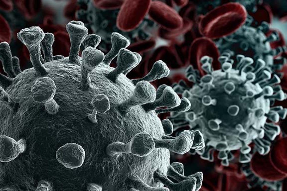 procedure-covid-maps procedure-covid-maps