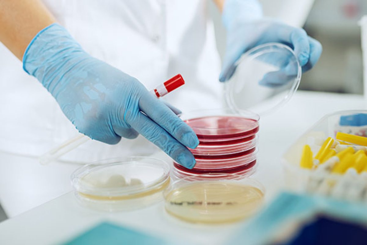 zerocoda-covid-artexe-news